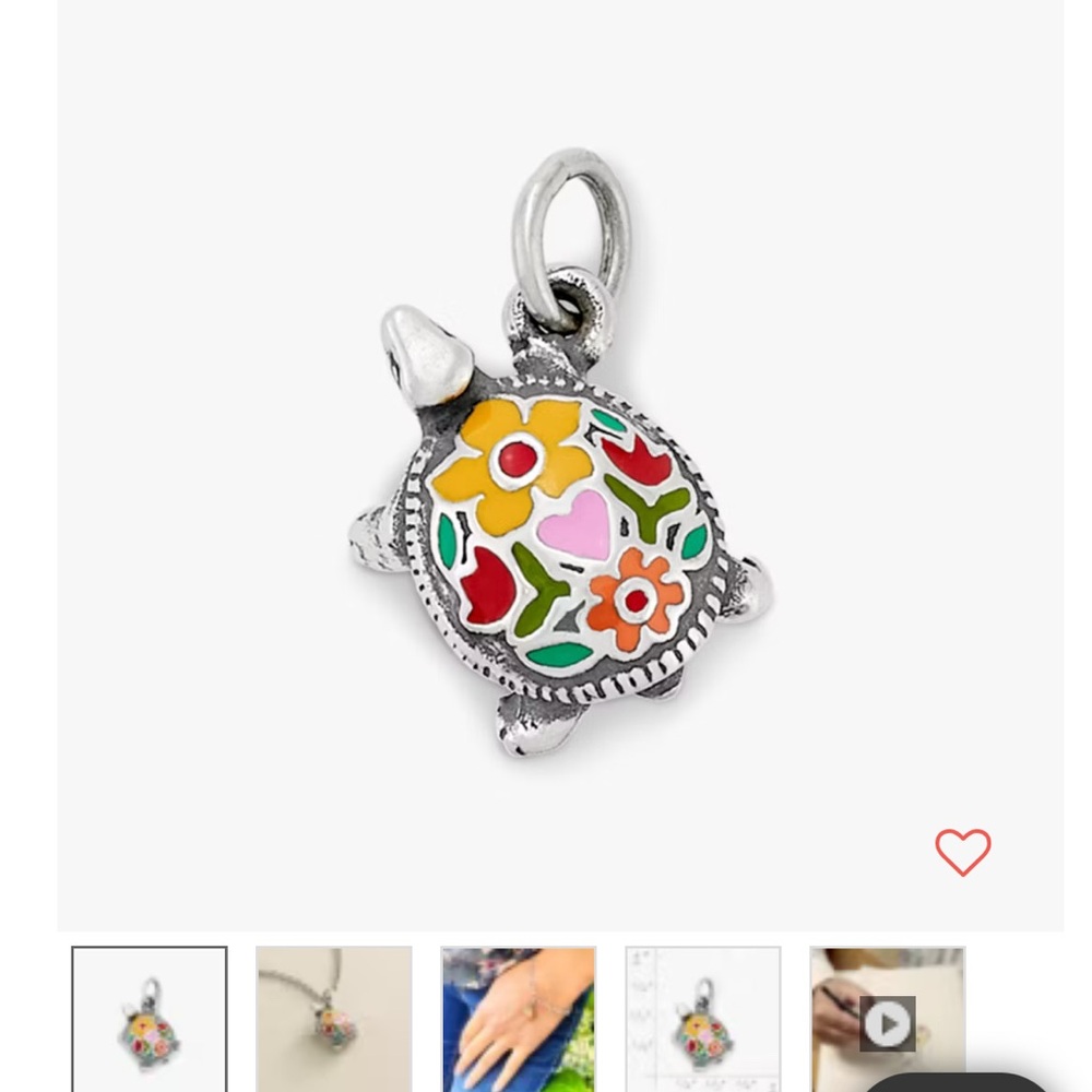 JAMES AVERY TURTLE